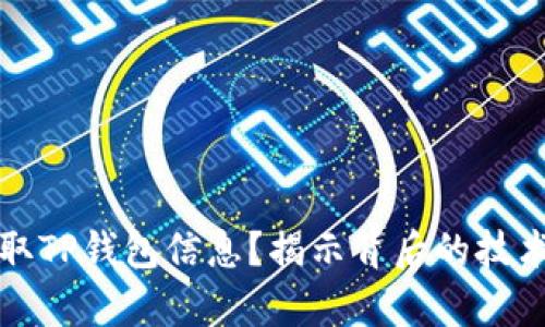黑客如何盗取TP钱包信息？揭示背后的技术与防范措施